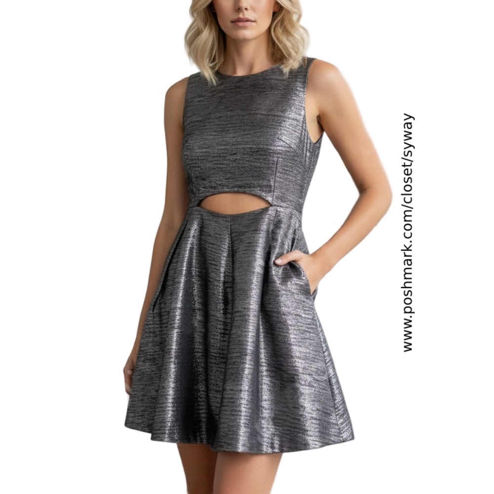 Slate & Willow Jacquard Metallic Cutout Fit and Flare Mini Dress with Pockets